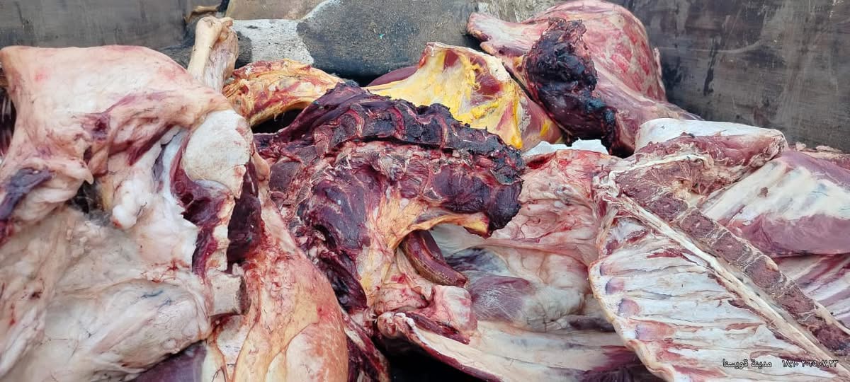 ضبط لحوم وأسماك فاسدة بحملات تموينية في المنوفية