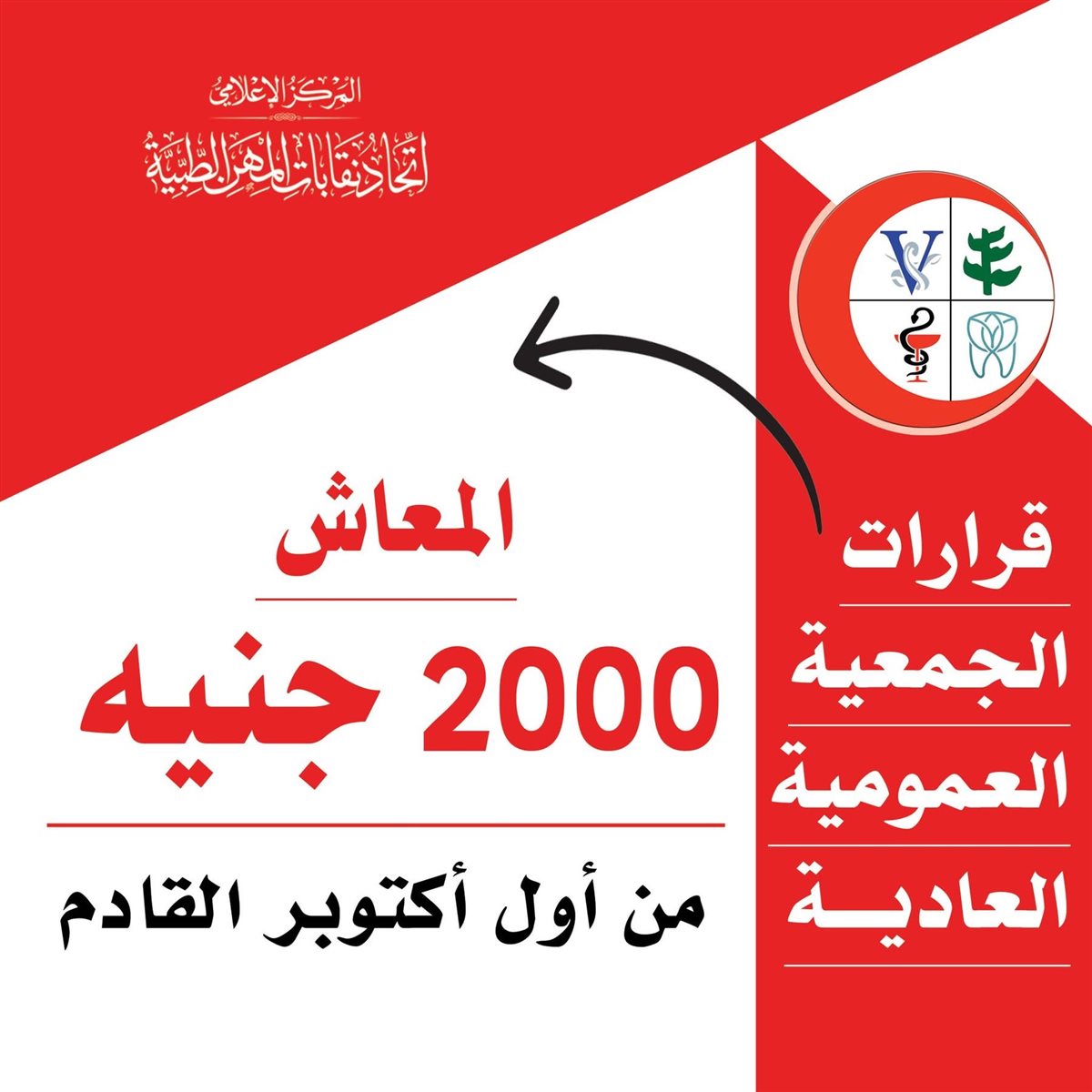 رفع المعاش في اتحاد المهن الطبية لدعم الأعضاء