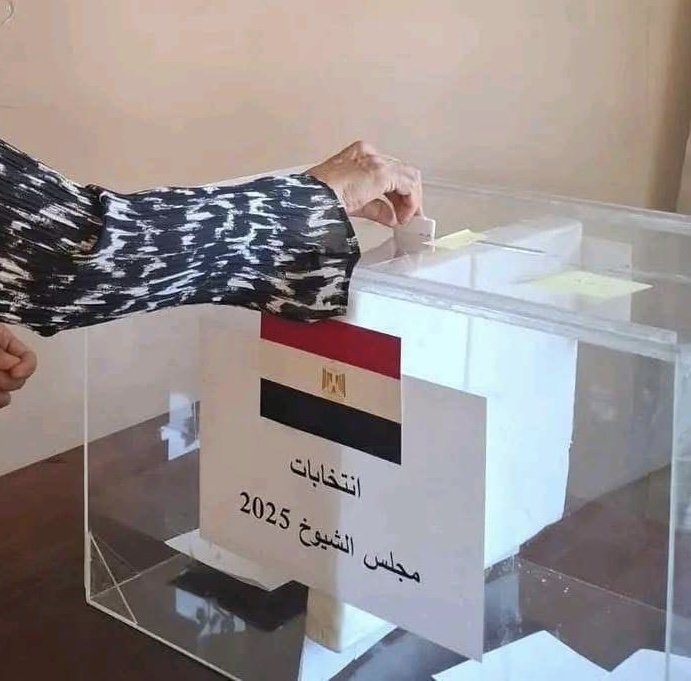 اللجان الدبلوماسية تنظم انتخابات مجلس الشيوخ بالخارج