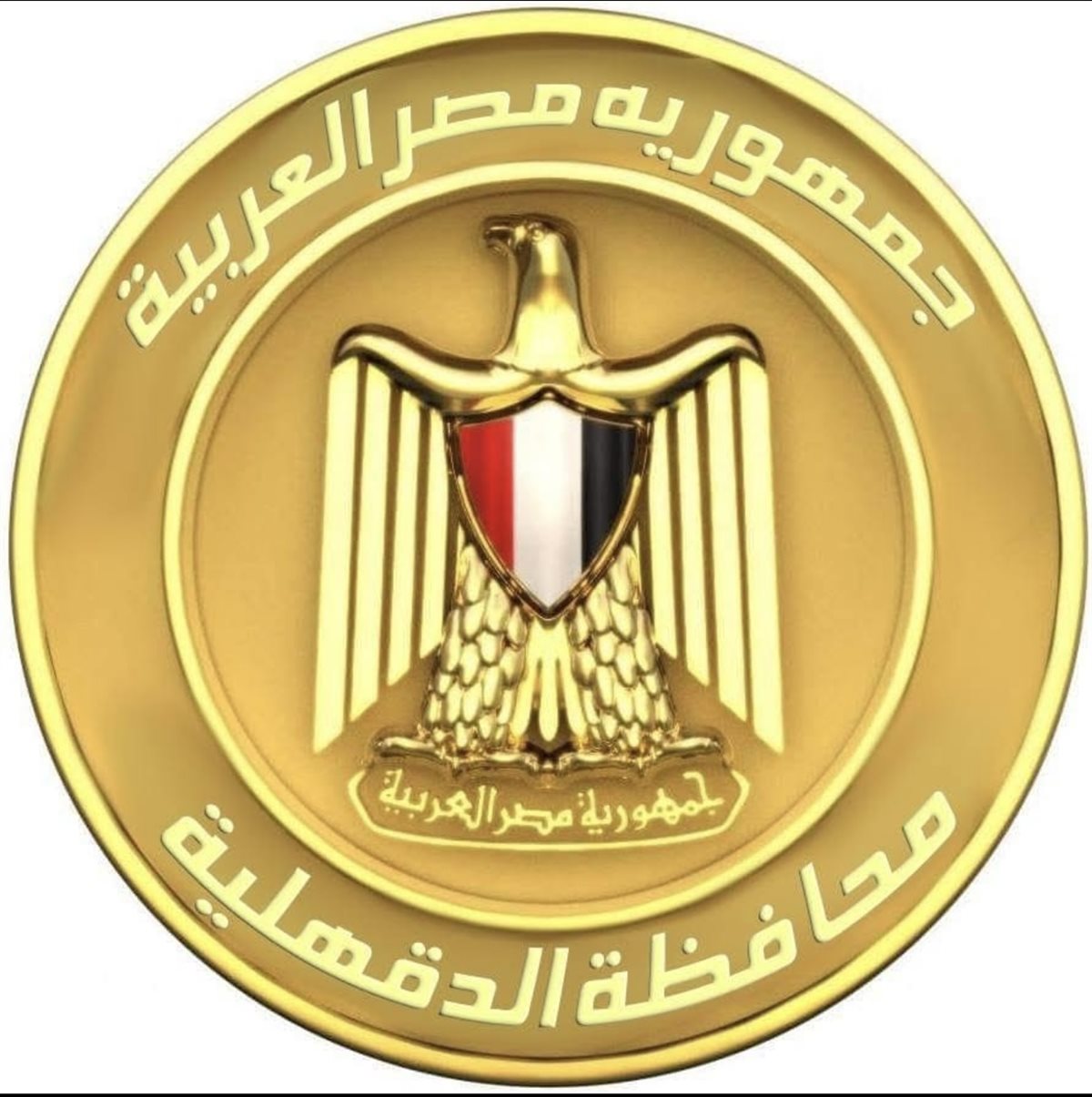 محافظ الدقهلية يقرر تعطيل الدراسة غدًا الخميس بسبب سوء الأحوال الجوية