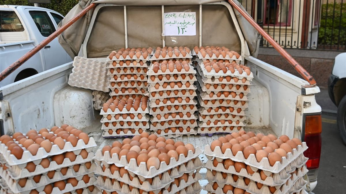 سيارات محملة ببيض المائدة بأسعار مخفضة تجوب المراكز