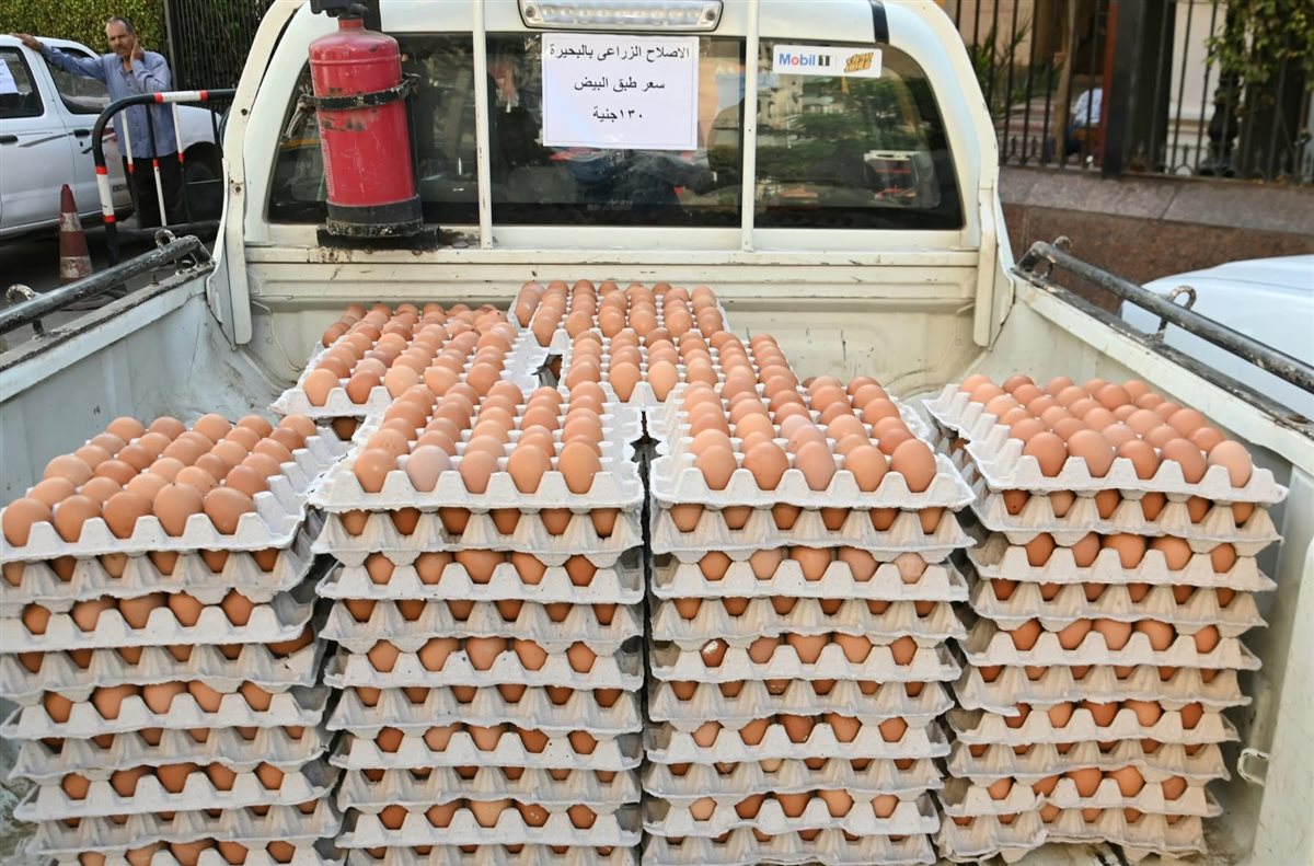 قوافل غذائية جديدة بالبحيرة توفر السلع بأسعار مناسبة
