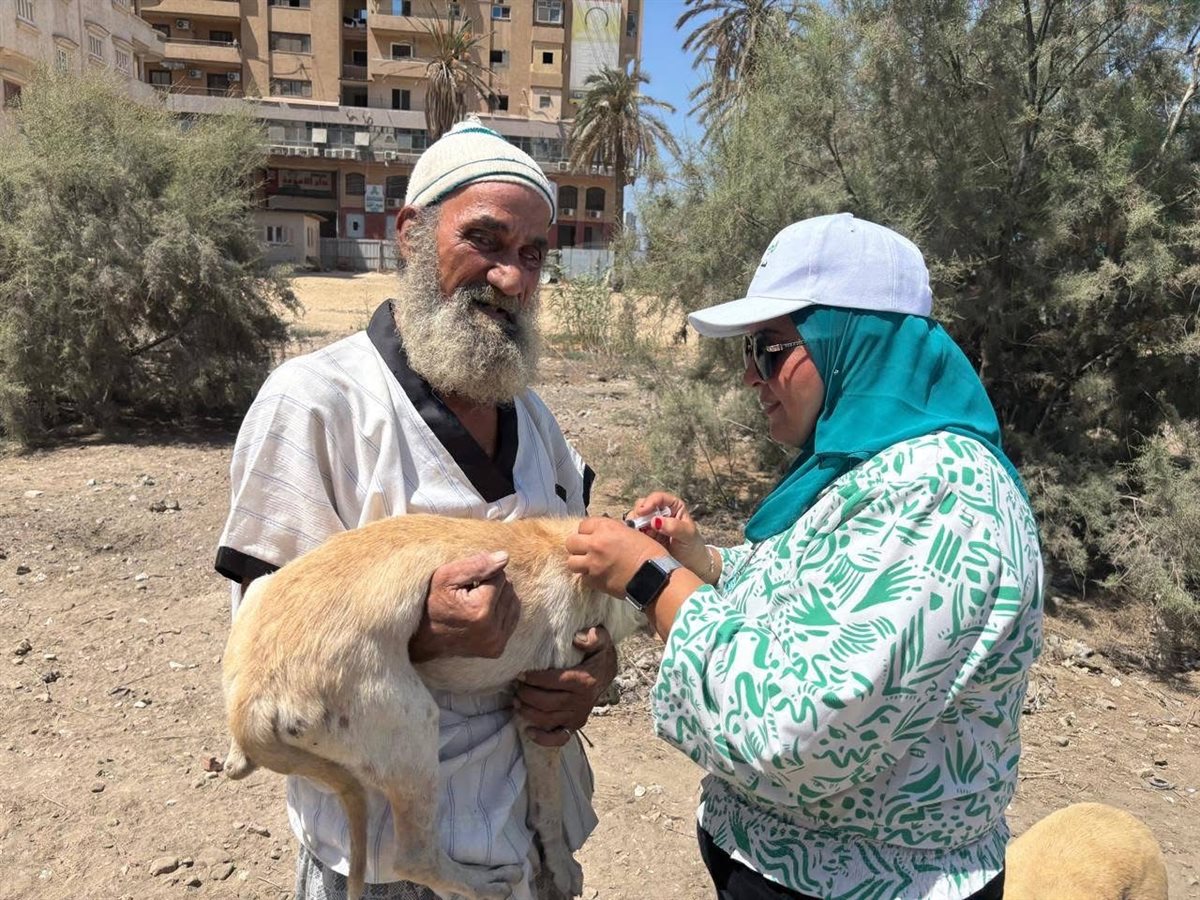 حملة تطعيم الكلاب الضالة بدمياط للوقاية من السعار