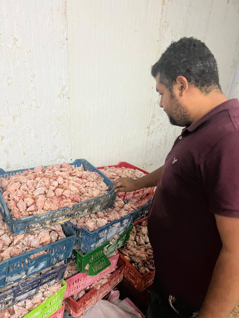 ضبط الدواجن الفاسدة في حملات مكثفة لحماية صحة المواطنين
