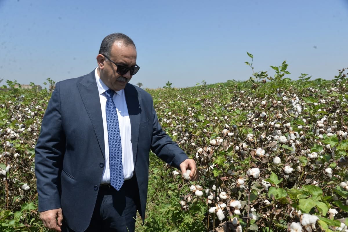 محافظ أسيوط يتابع حصاد الذهب الأبيض بالصعيد
