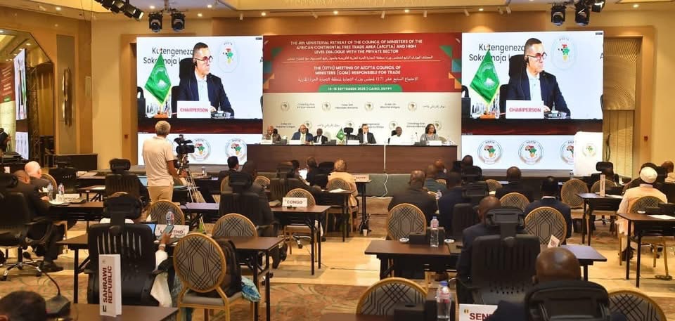 وزراء التجارة الأفارقة خلال اجتماعهم الوزاري بالقاهرة