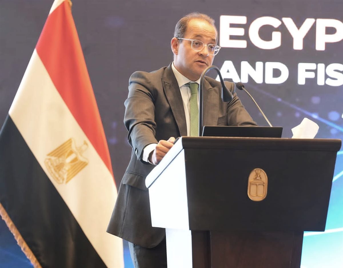 وزير المالية يوضح دور القطاع الخاص في دعم الإصلاح الاقتصادي