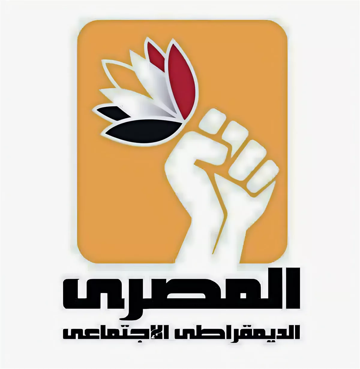 ترحيب الحزب المصري الديمقراطي بقرار إعادة القانون