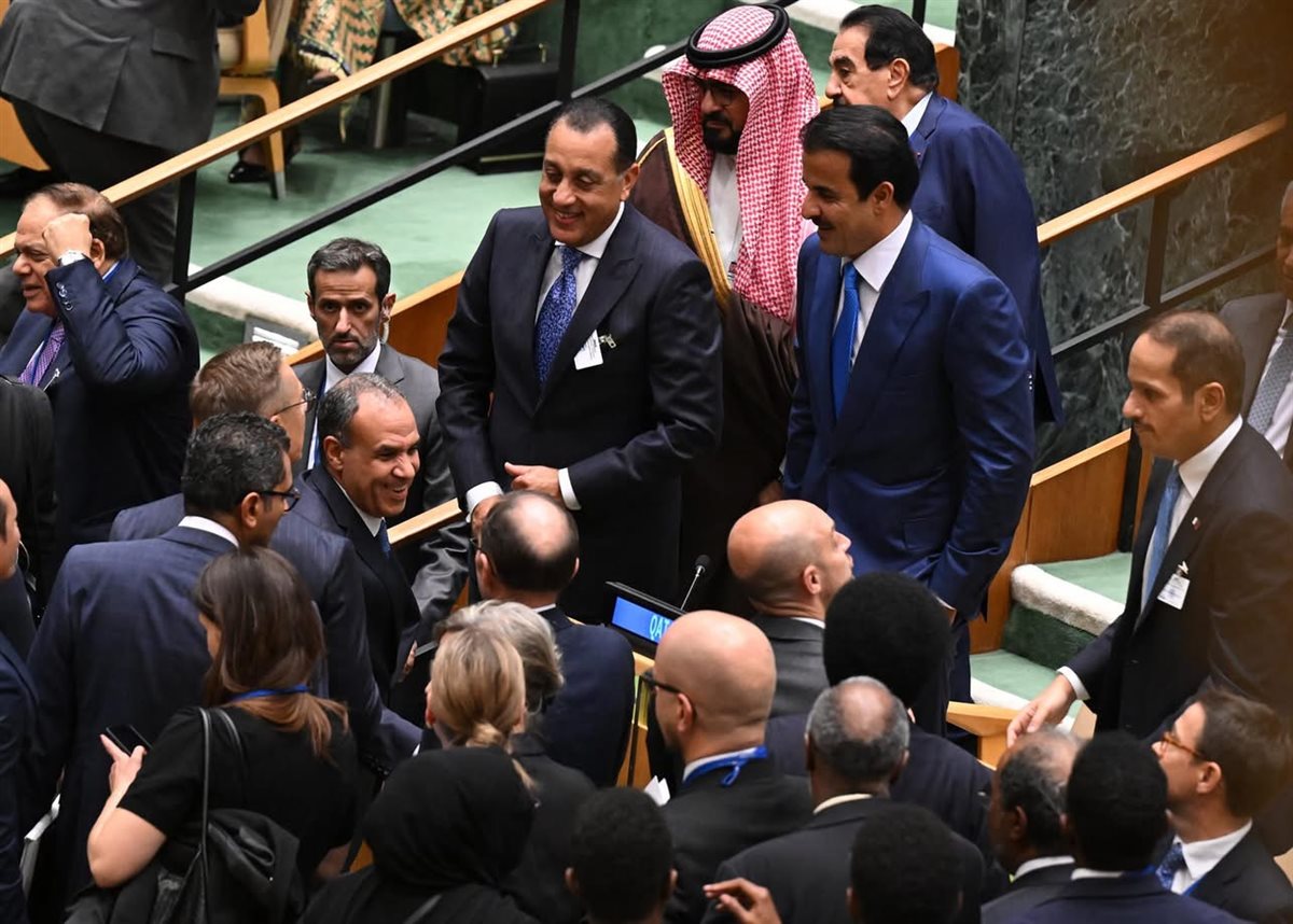 مصر تجدد تمسكها بحل الدولتين في مؤتمر الأمم المتحدة