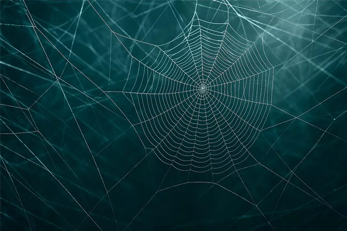 خيوط العنكبوت أقوى من الفولاذ بخمس مرات - Illustration
