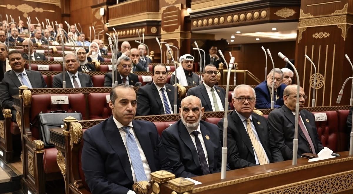محمود فوزي يشهد 3 جلسات بمجلس الشيوخ