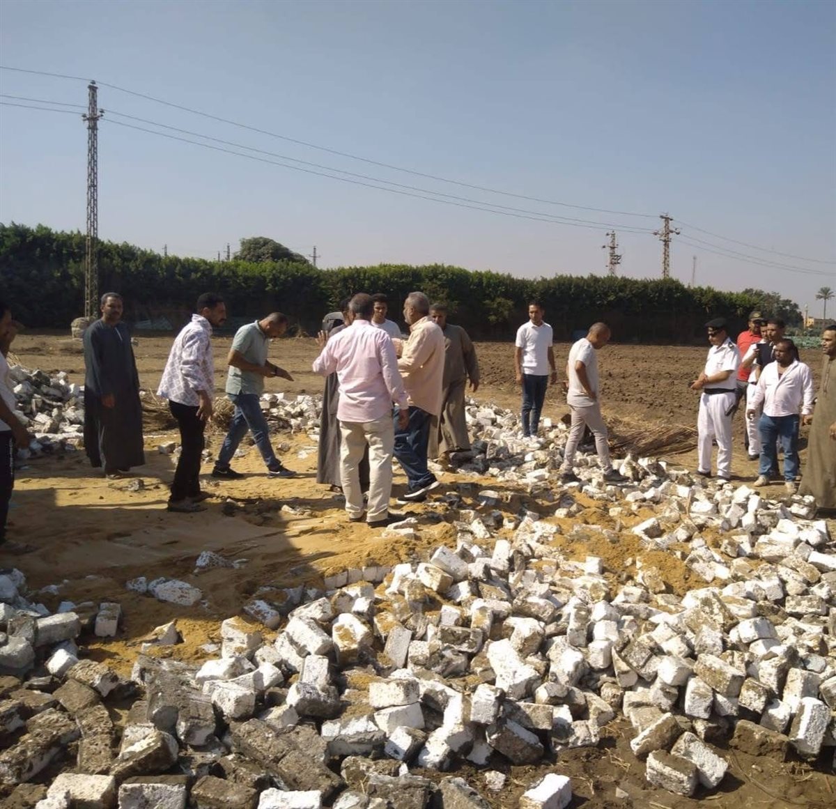 محافظة الجيزة تحمي الرقعة الزراعية