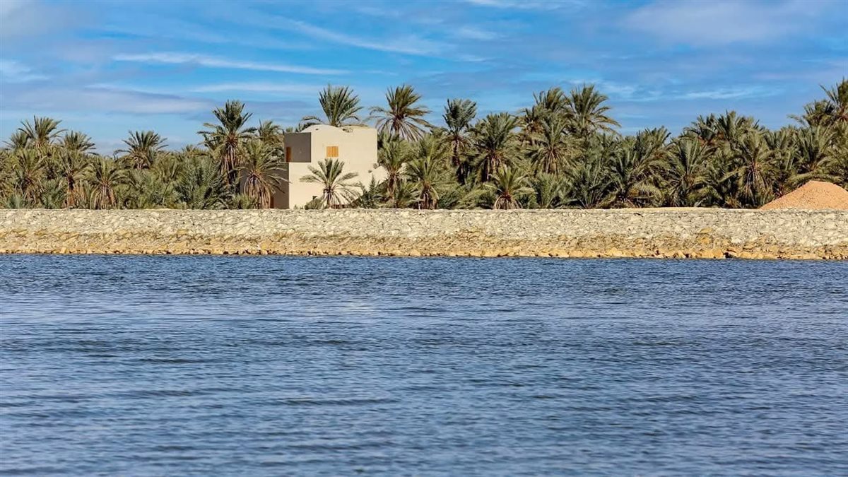 جهود الحفاظ على التوازن البيئي بواحة سيوة