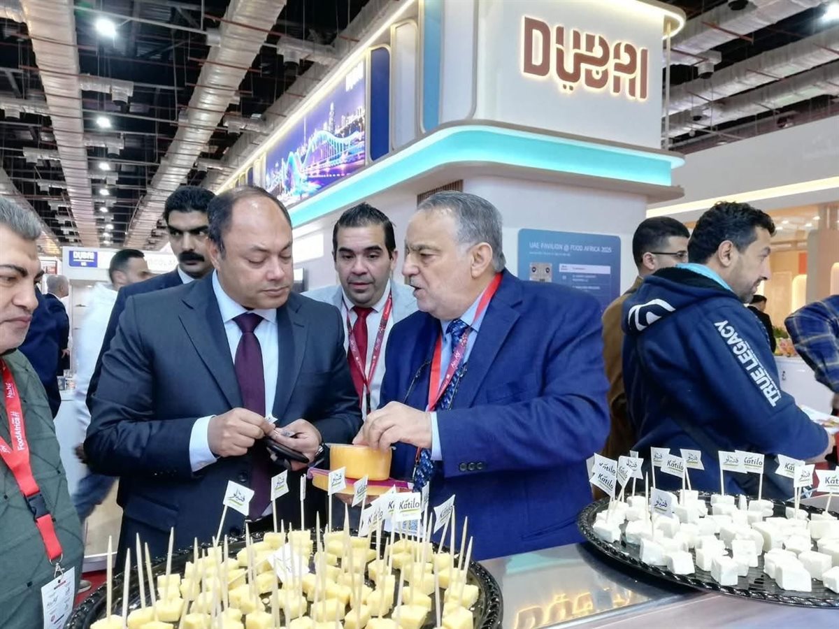 تنمية الصعيد تعزز جذب الاستثمار والتصدير