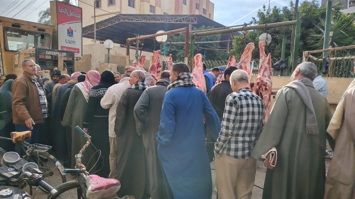 لحوم بلدية بسعر مخفض تشهد إقبالًا واسعًا في ديروط بأسيوط