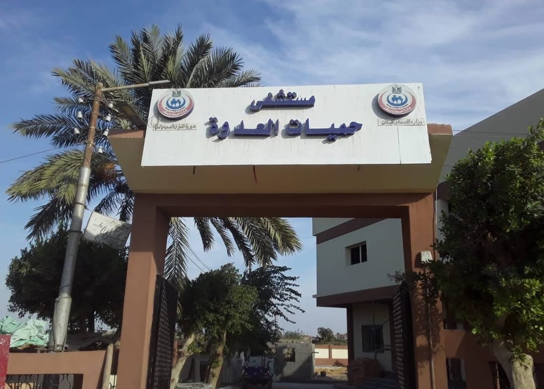 جهود موسعة للصحة بالمنيا خلال 2025 لخدمة ملايين المواطنين