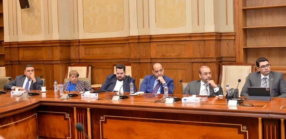 مجلس الشيوخ يبحث مع خالد عبدالعزيز حماية الإعلام المصري