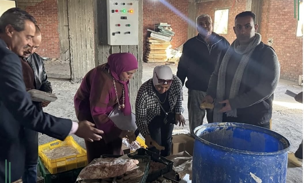 ضبط دواجن مجهولة المصدر بالشرقية خلال حملة تفتيشية