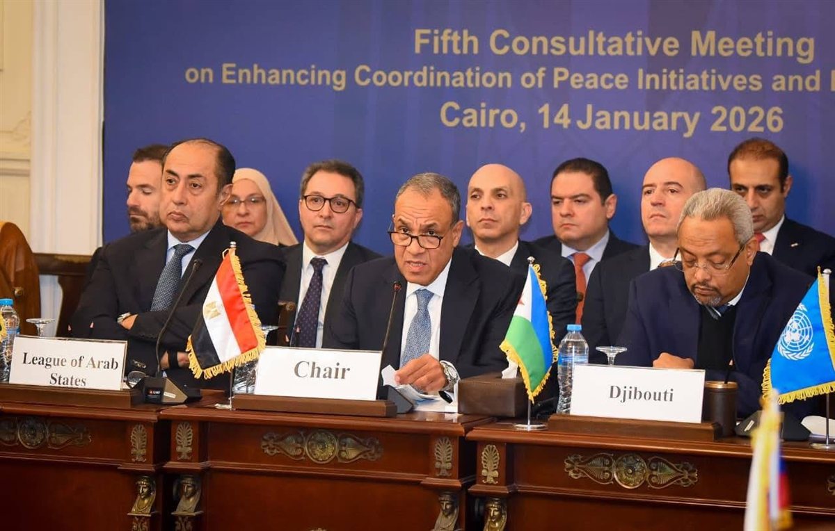 وزير الخارجية يؤكد ثوابت الموقف المصري تجاه الأزمة السودانية