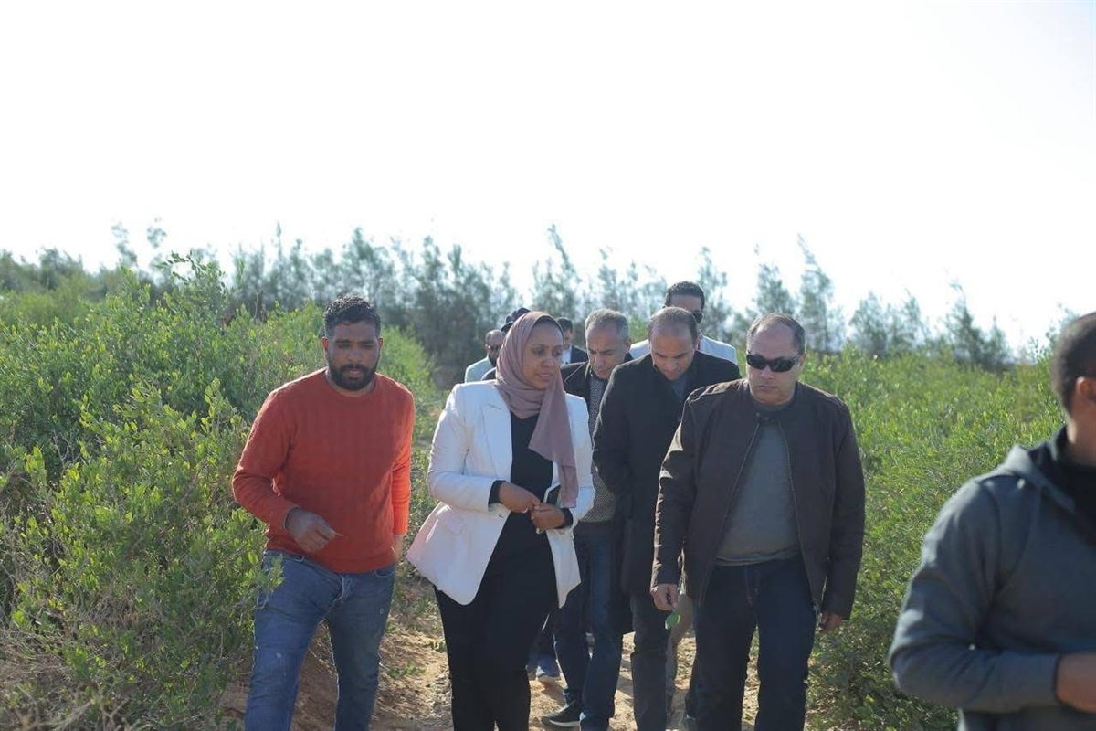 رئيس هيئة تنمية الصعيد يتفقد حصاد محصول الجوجوبا