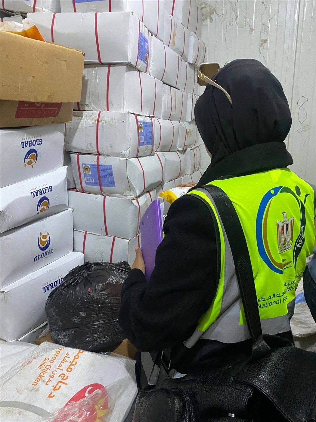 ضبط لحوم فاسدة ومتغيرة الخواص في الأقصر