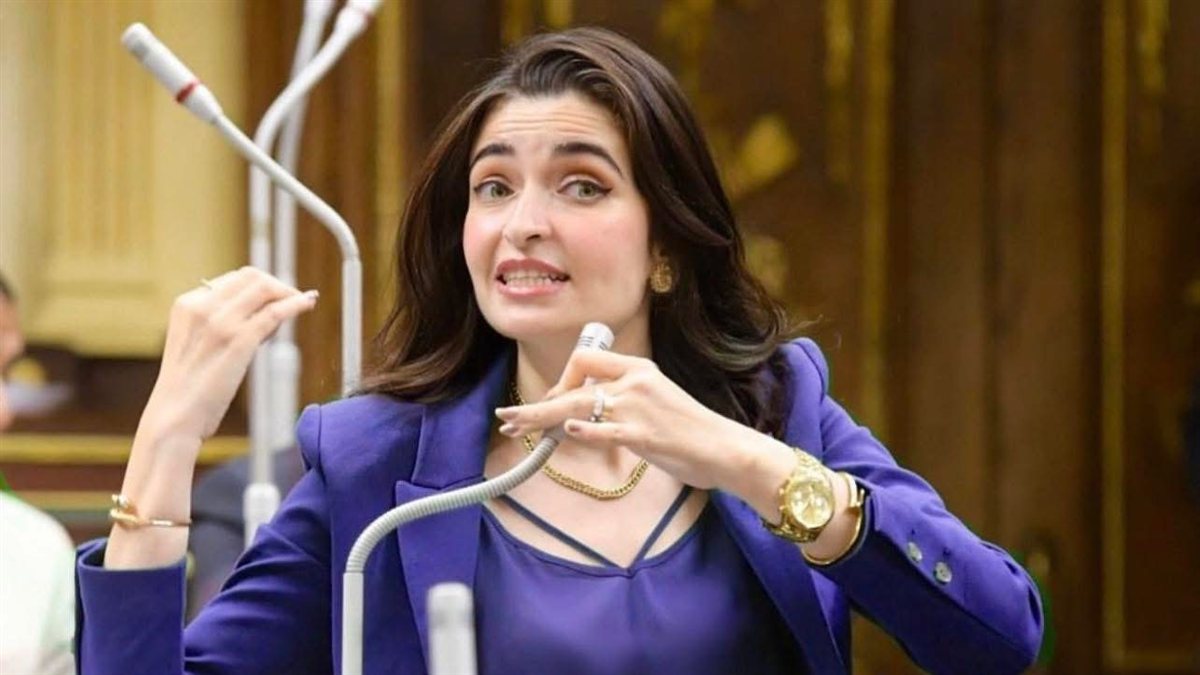 النائبة إيرين سعيد تطالب بمراجعة قانون فصل الموظفين