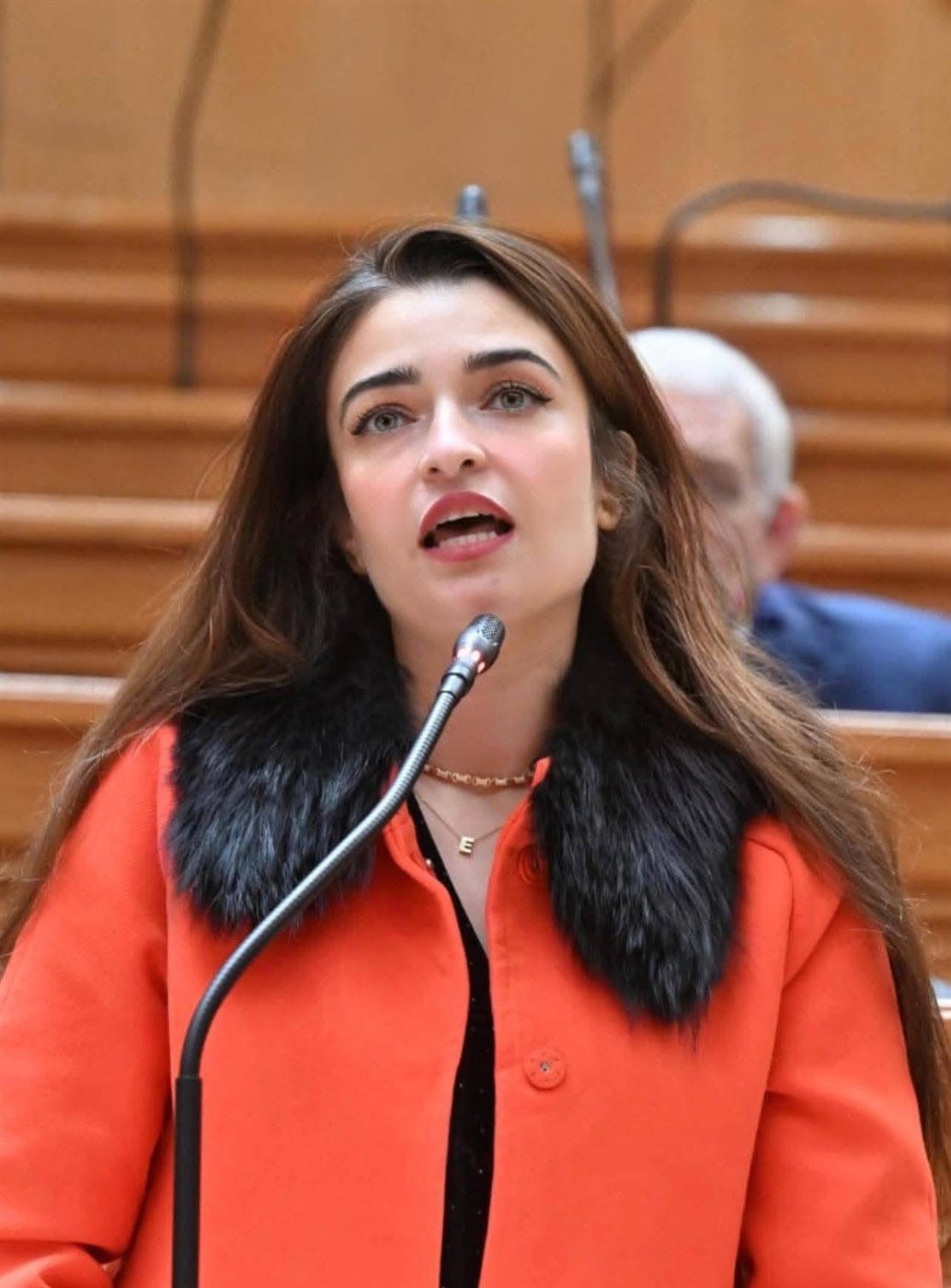 النائبة إيرين سعيد تدفع بإنشاء كوبري للشورانية عاجلًا