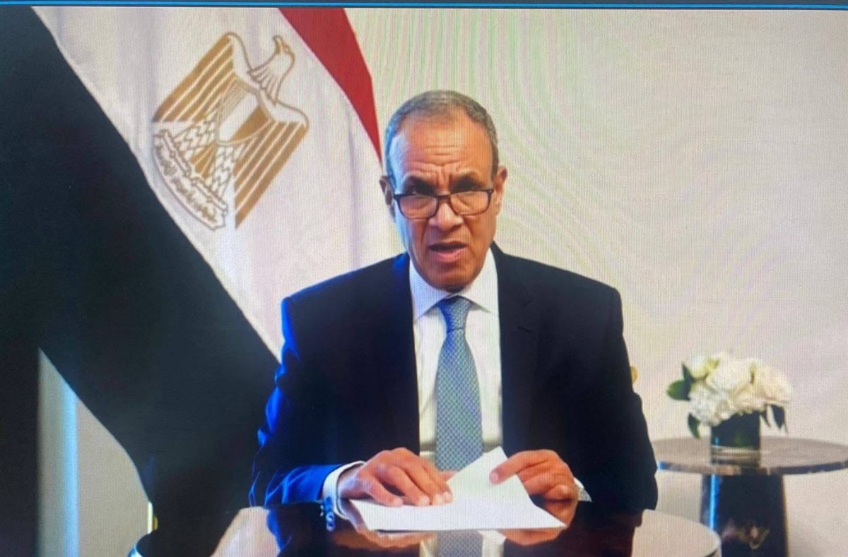 د. بدر عبد العاطي وزير الخارجية