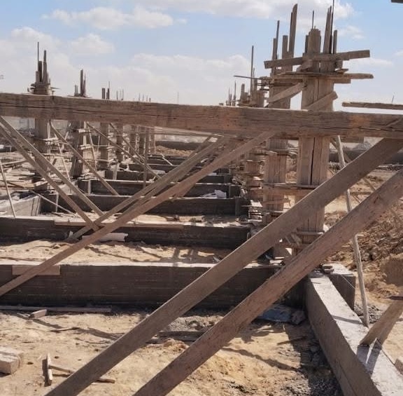 القاهرة تبدأ تنفيذ شلتر الكلاب الضالة في التبين