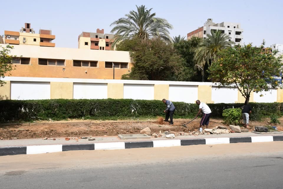 تجهيز مساحات زراعة الأشجار ضمن مشروع تطوير وتوسعة طريق السادات