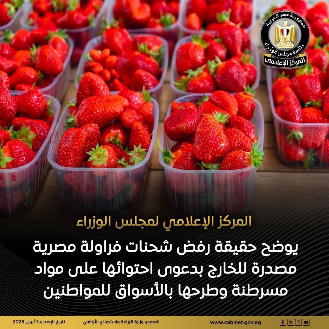المركز الإعلامي لمجلس الوزراء يوضح حقيقة رفض شحنات الفراولة المصرية