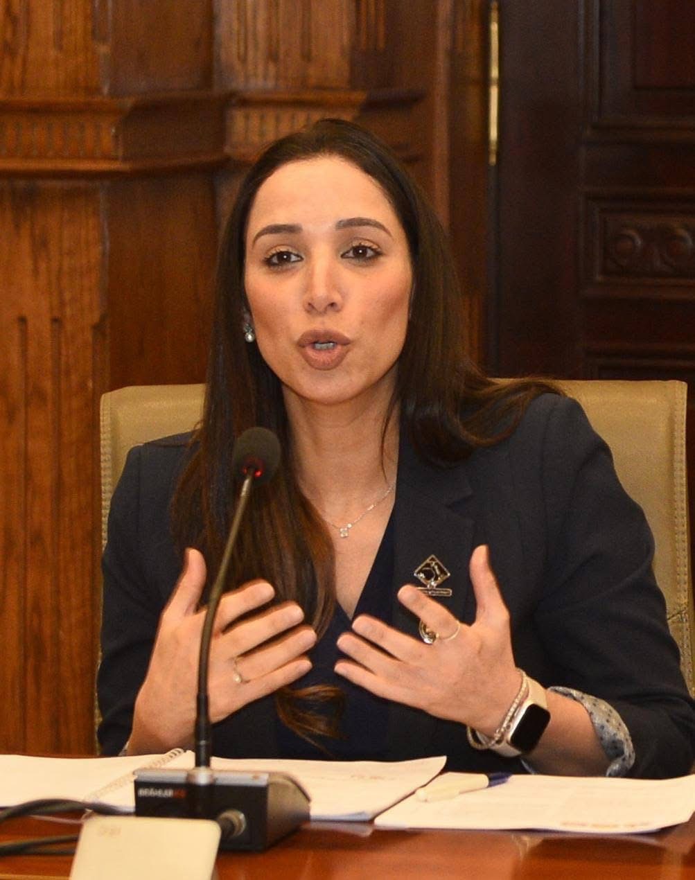 تحرك برلماني لدعم الصناعة المصرية أمام آلية الكربون
