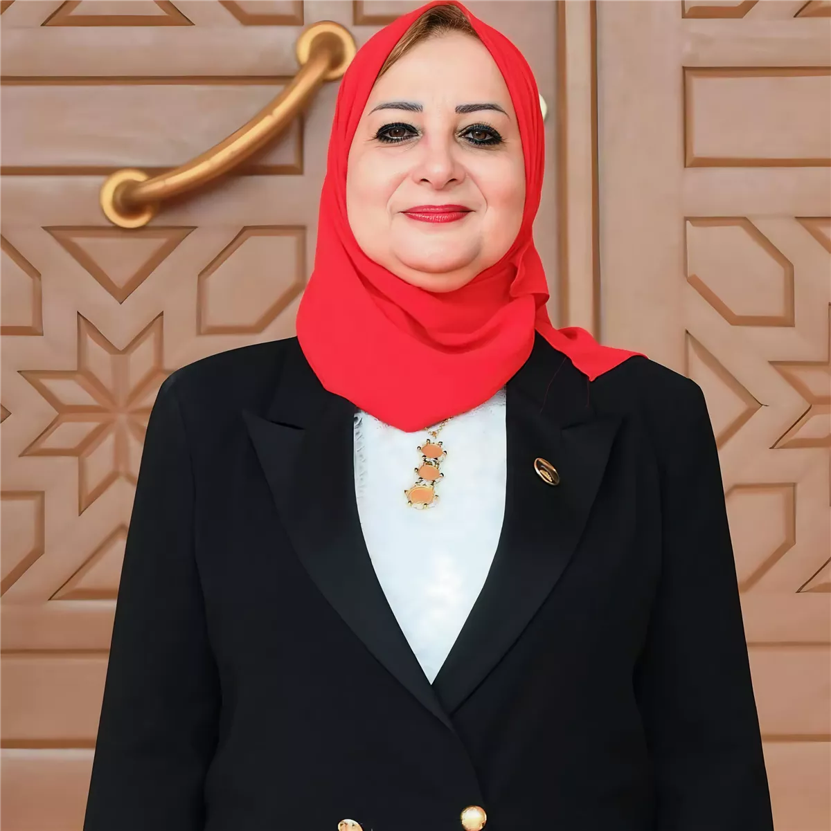 نسرين عمر تقترح تحليل DNA للمواليد لحماية الأطفال