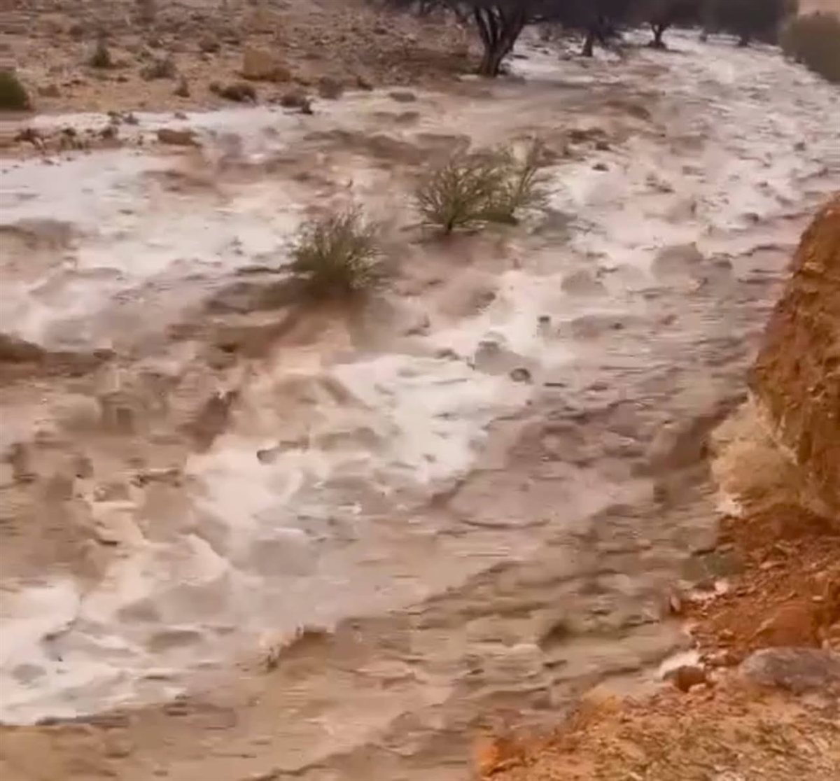 وزير الري يتابع سيول شمال سيناء