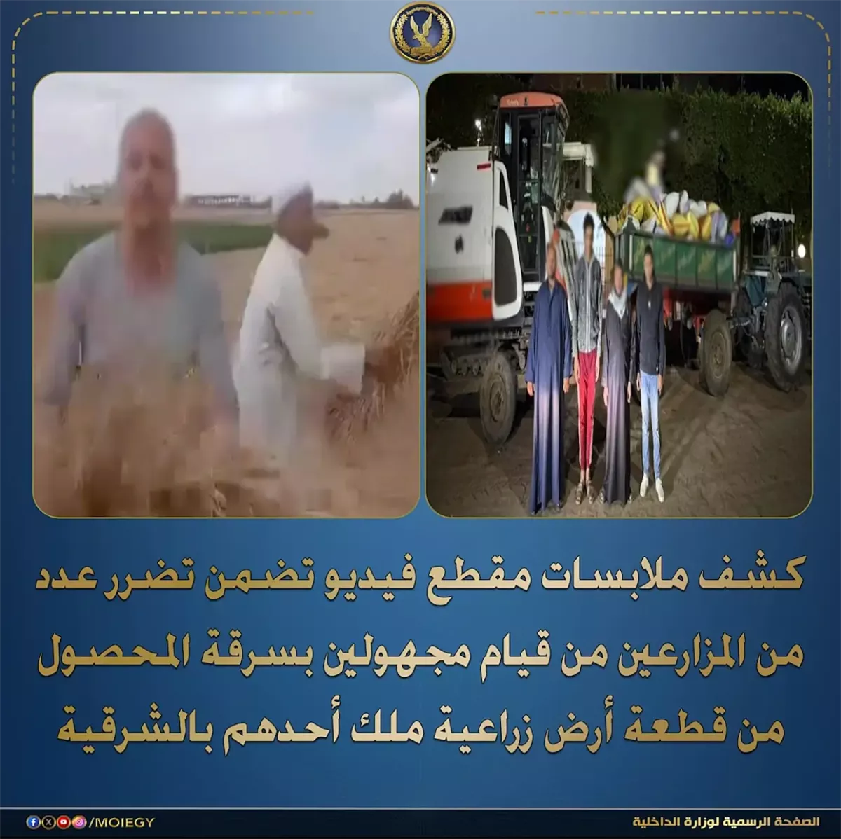 بيان وزارة الداخلية بشأن ضبط المتهم بسرقة محصول قمح بالشرقية