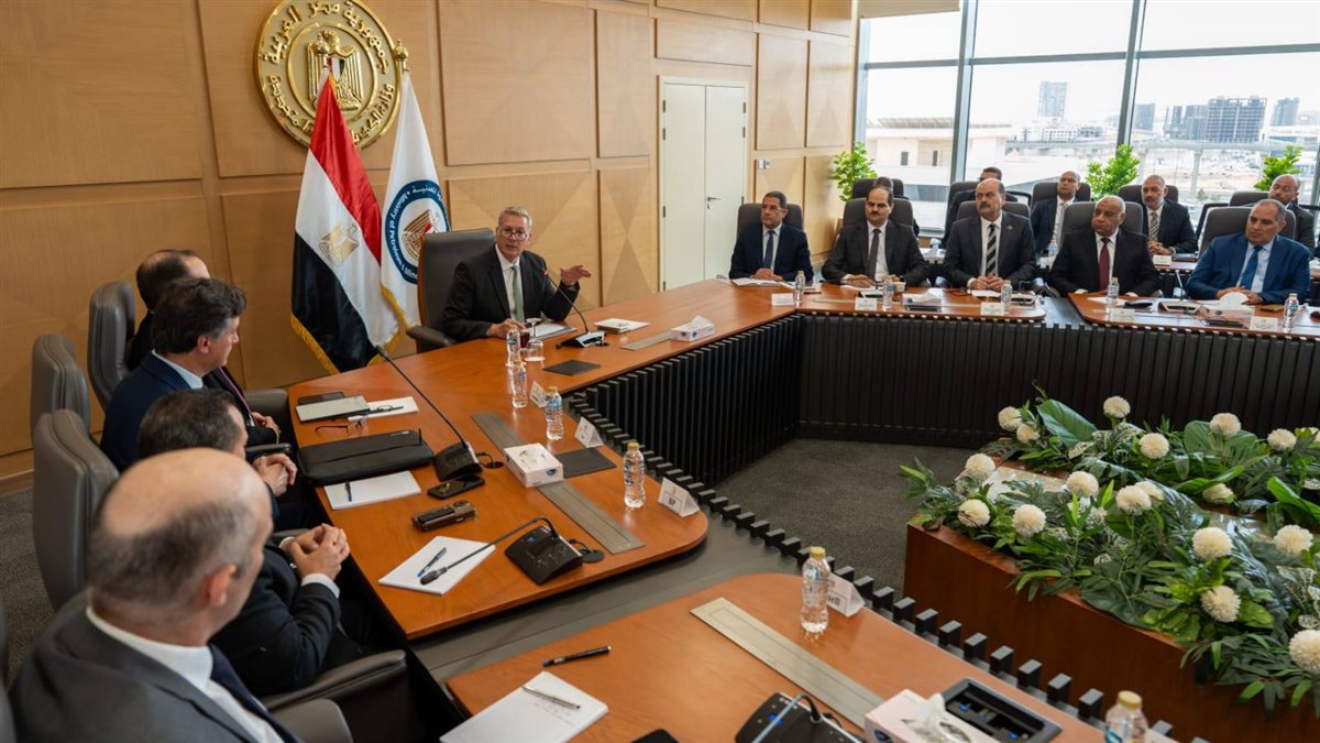 شركاء الاستثمار يدعمون تطوير الطاقة في مصر