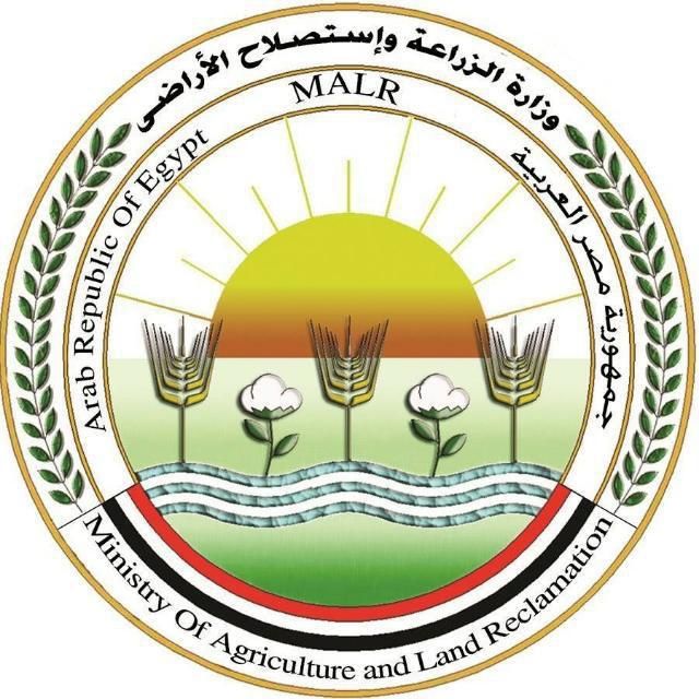 وزارة الزراعة تطلق حملة استباقية لرصد دودة الحشد