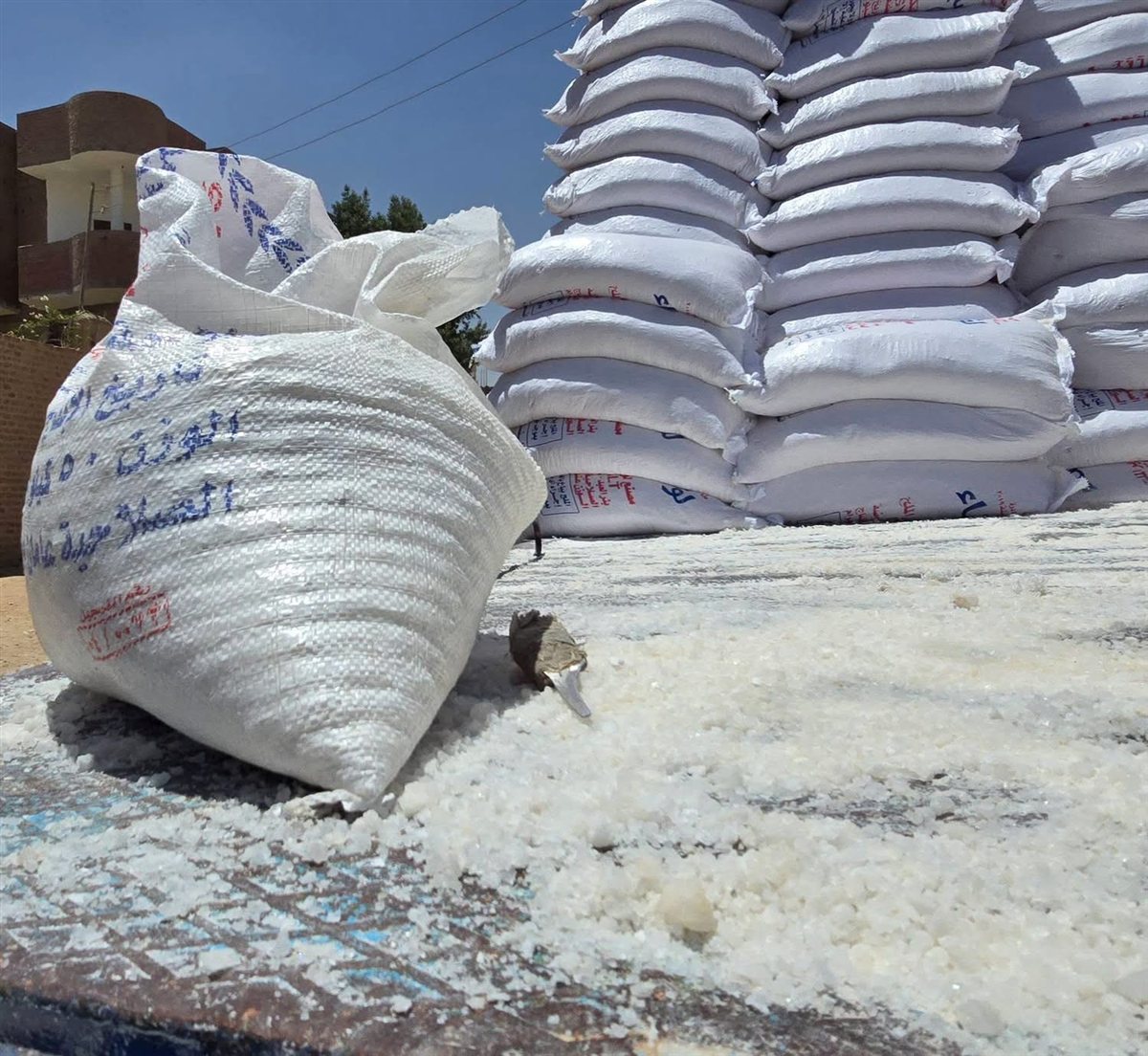 ضبط 400 جوال و30 كيس ملح مجهول المصدر بمنفلوط في أسيوط
