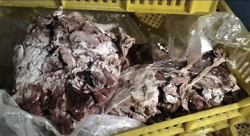 ضبط 3.3 طن لحوم ودواجن غير صالحة ببورسعيد