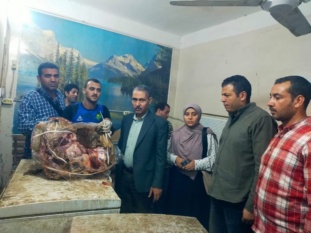 ضبط 3 أطنان لحوم ودواجن وأسماك غير صالحة بمنفلوط