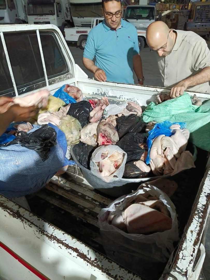 ضبط أكثر من نصف طن لحوم فاسدة بحي غرب شبين الكوم