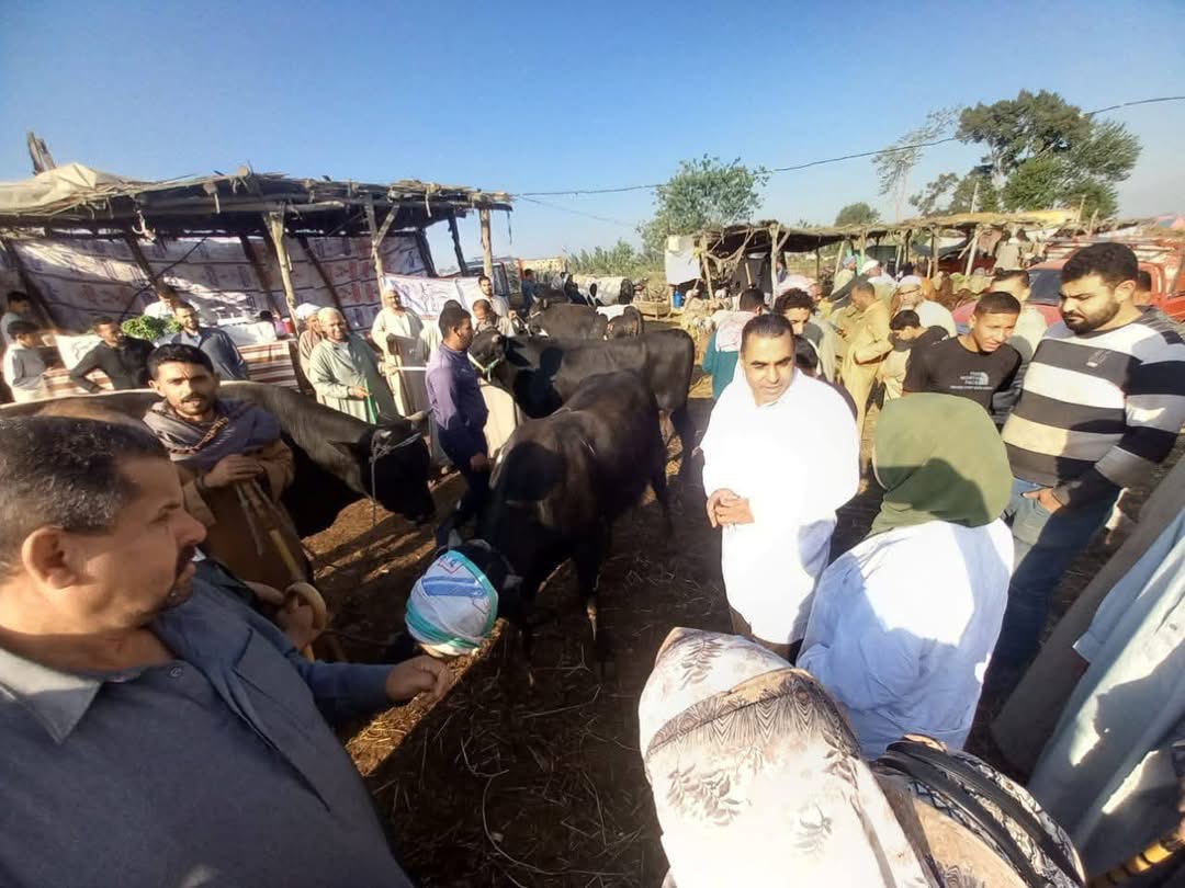 الدقهلية تواصل تحصين الماشية ضد الحمى القلاعية والوادي المتصدع