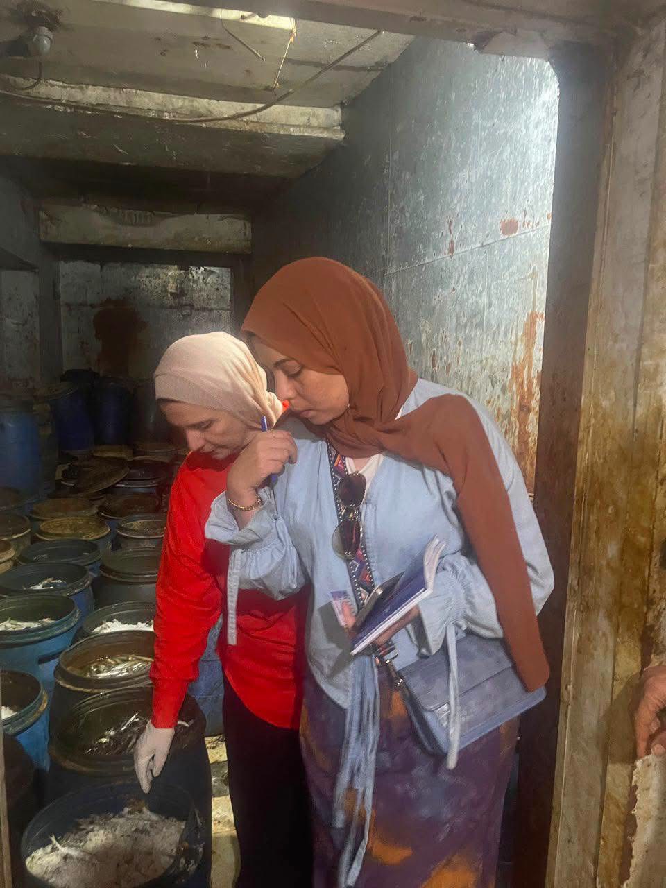 ضبط 675 كجم سردين ورنجة غير صالحة داخل ثلاجة أسماك بالدقهلية