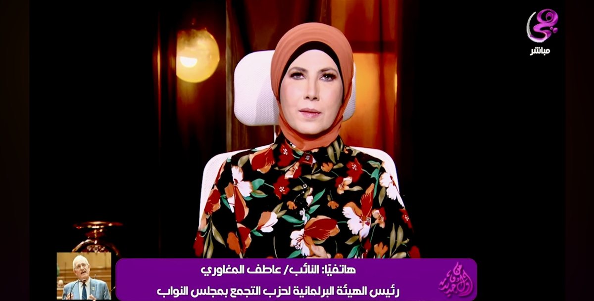 عاطف المغاوري يدعو لمراجعة قانون فصل الموظفين