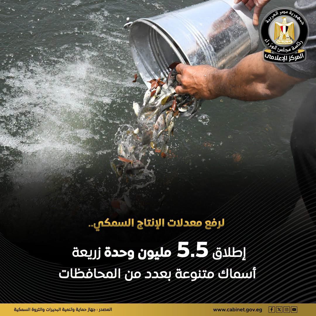 بيان المركز الإعلامي لمجلس الوزراء