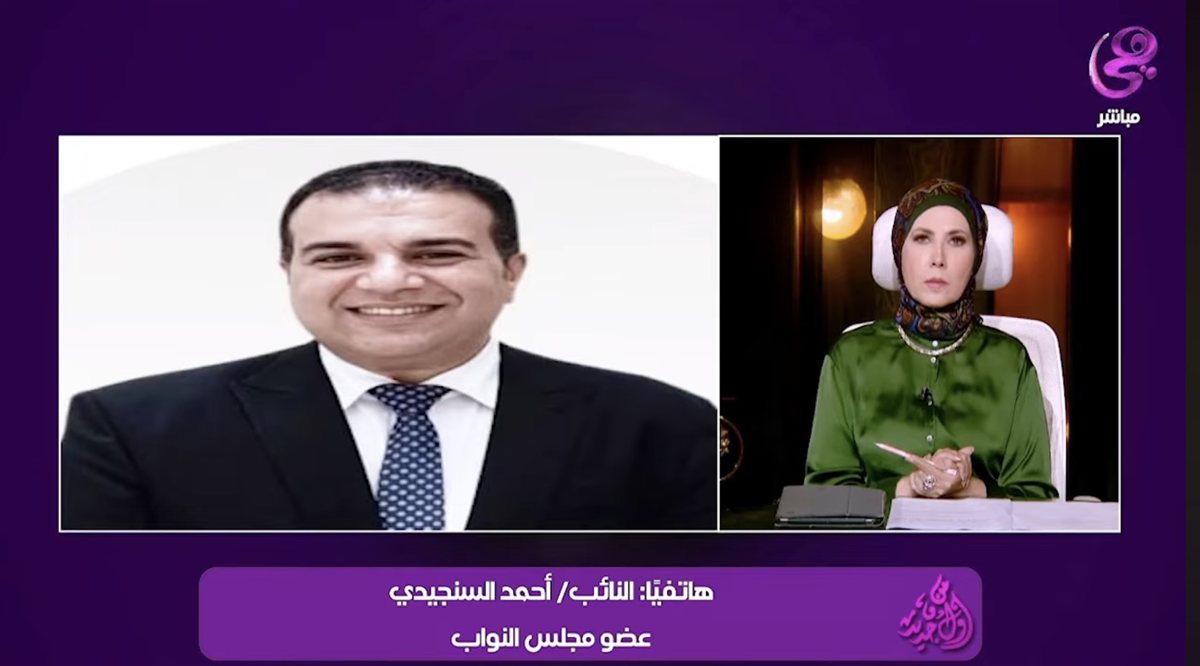 السنجيدي يعلن تفاصيل طلبات الإحاطة بشأن العدادات الكودية