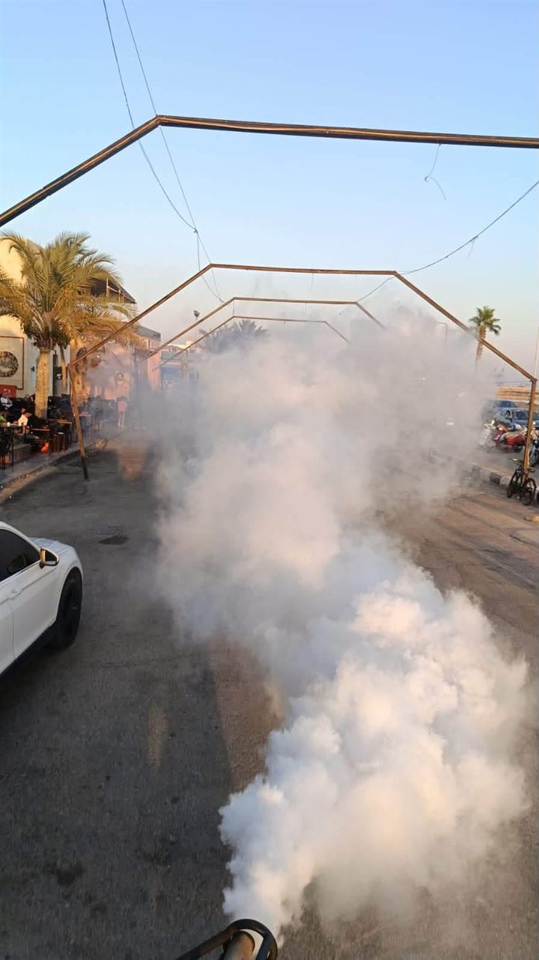 استمرار حملات مكافحة الناموس والحشرات الطائرة في بورسعيد