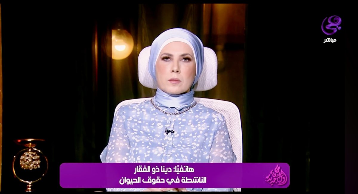 دينا ذو الفقار تدعم الحلول العلمية لحيوانات الشارع