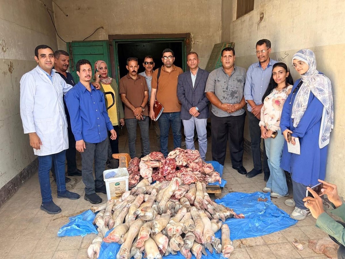 ضبط 250 كيلوجرامًا من اللحوم غير الصالحة داخل مطعم بمدينة سوهاج