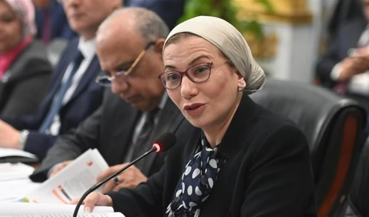 الدكتورة ياسمين فؤاد